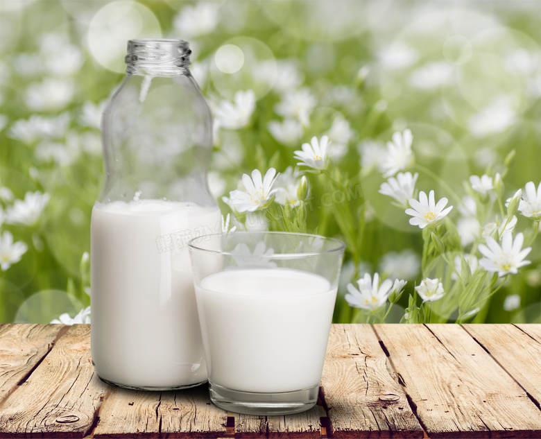 白色花丛与牛奶等微距摄影高清图片