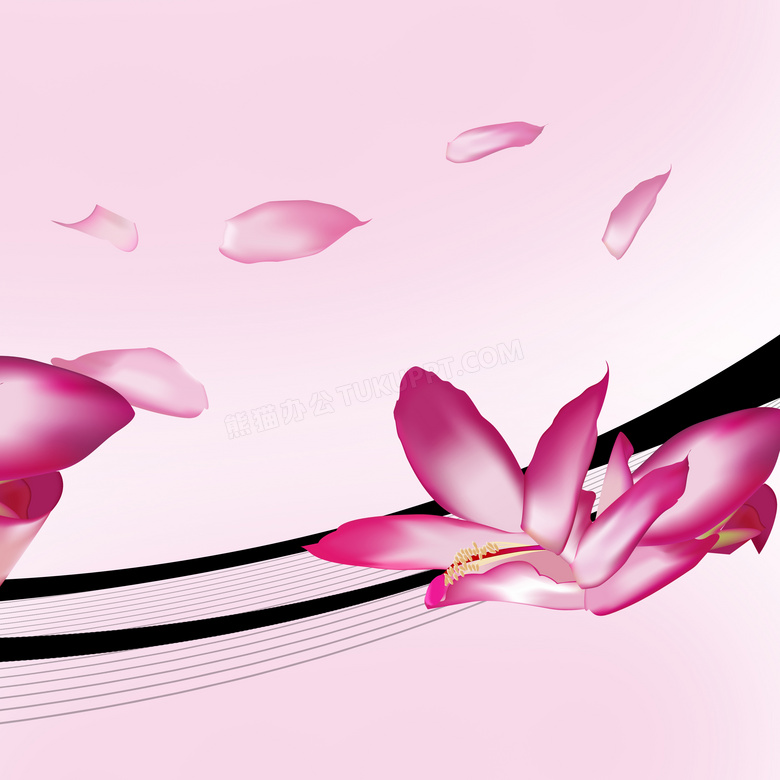 粉红色花朵与曲线等无框画高清图片