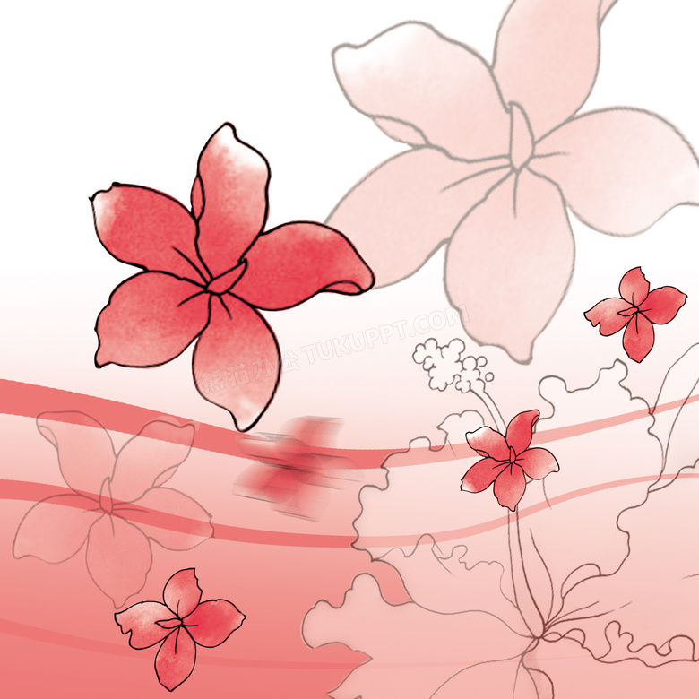 手绘花朵与线条图案无框画高清图片