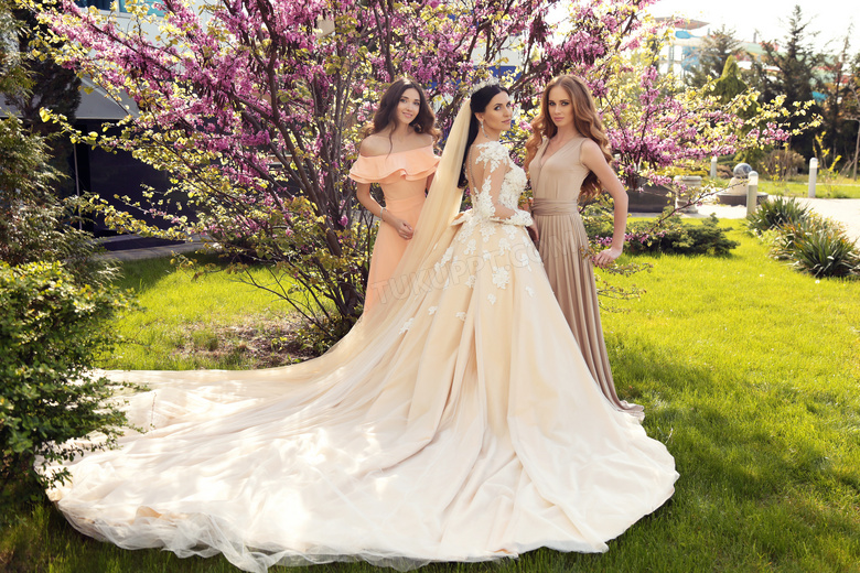 站在草坪上的新娘伴娘摄影高清图片