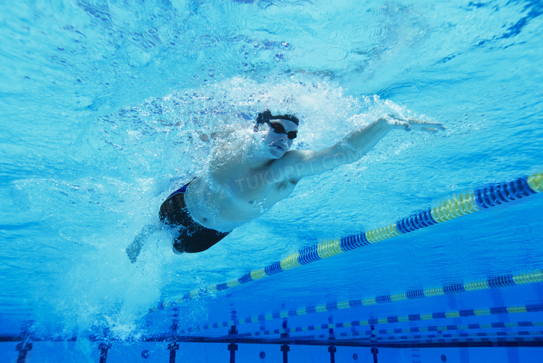 在泳池里自由泳的男子摄影高清图片