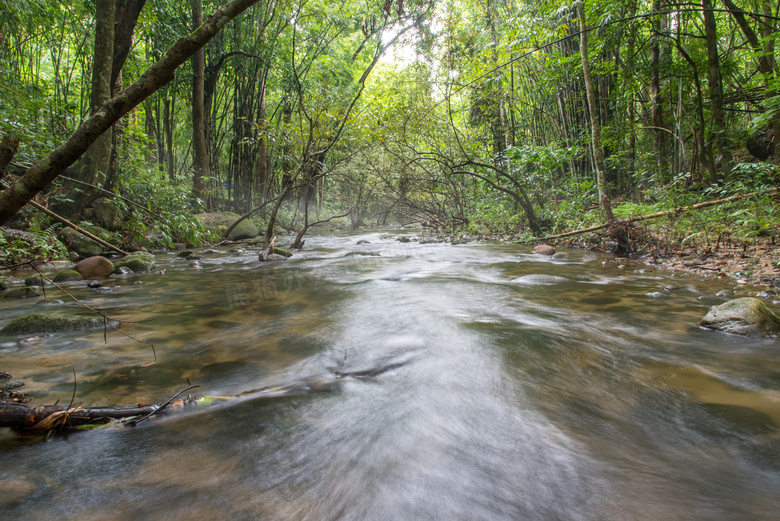 流经树林的湍急溪流等摄影高清图片