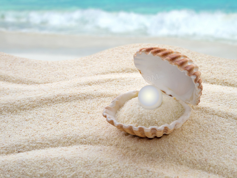 蚌壳里的沙子与珍珠等摄影高清图片