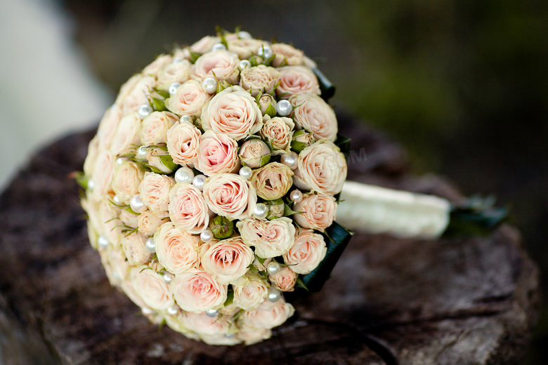 用珍珠装饰的玫瑰捧花摄影高清图片
