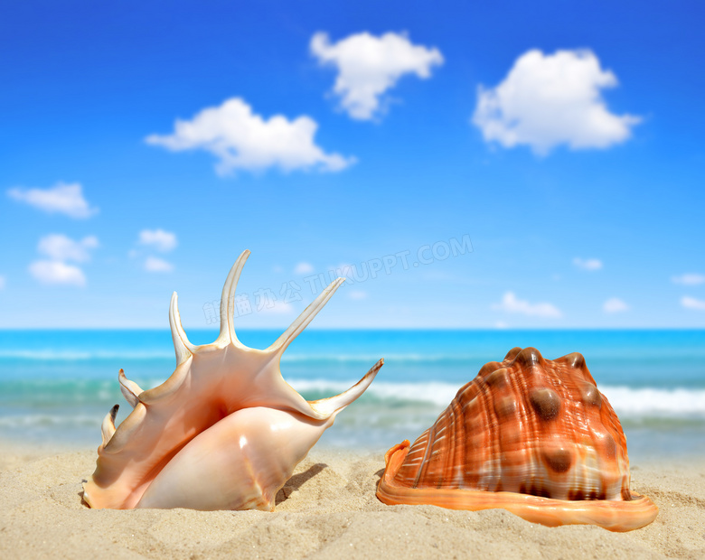 蓝天白云与沙滩上的贝壳等高清图片