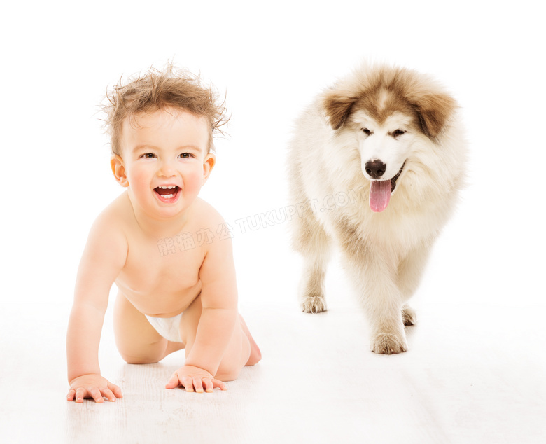 狗狗与爬着的可爱宝宝摄影高清图片