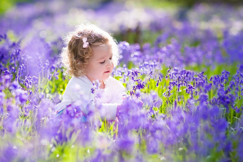 紫色花丛中的儿童人物摄影高清图片