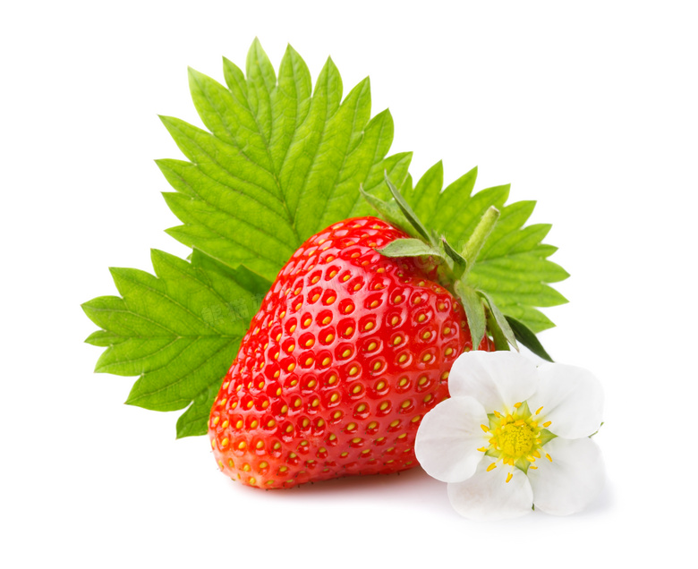 一朵小百花与新鲜草莓摄影高清图片