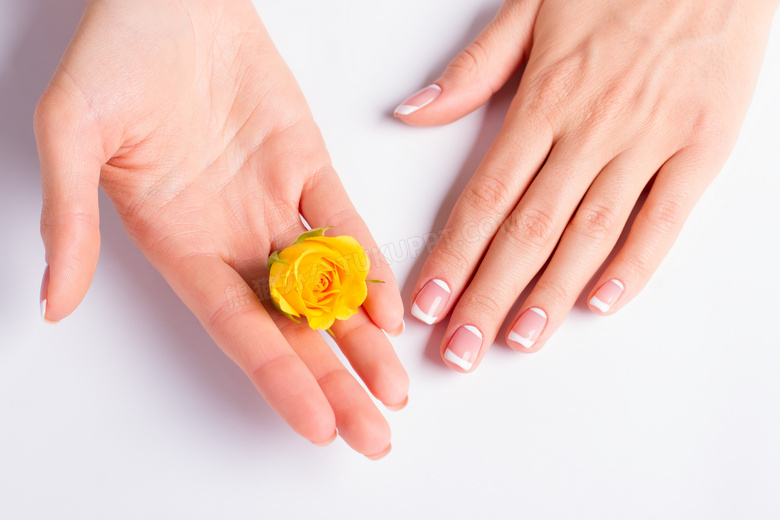 一双手与一朵黄玫瑰花摄影高清图片