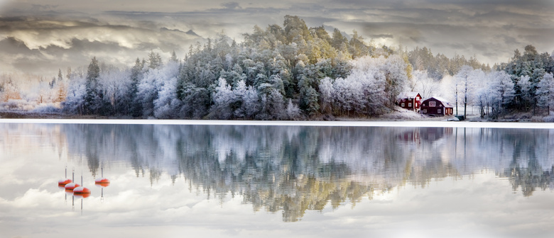平静湖面与挂满雾凇的树木高清图片