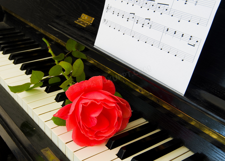 钢琴上的曲谱与红玫瑰摄影高清图片