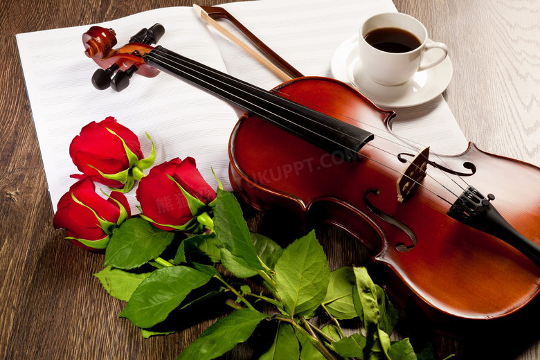 小提琴与红玫瑰花朵等摄影高清图片