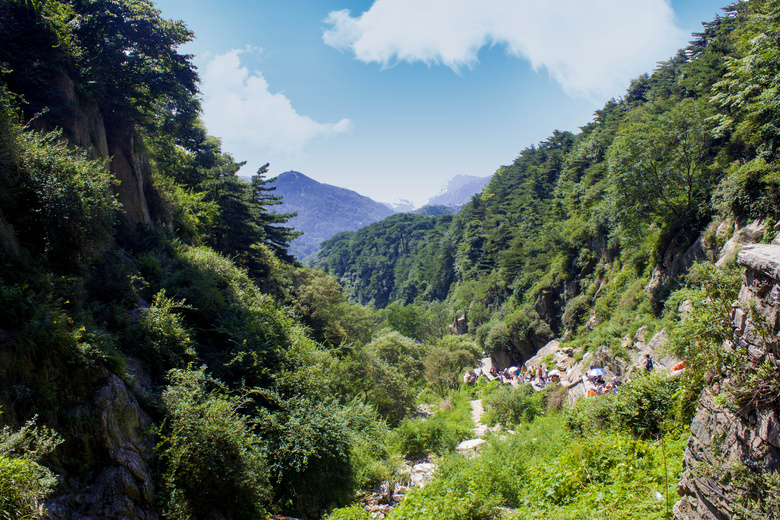 泰山山间美丽风光摄影图片