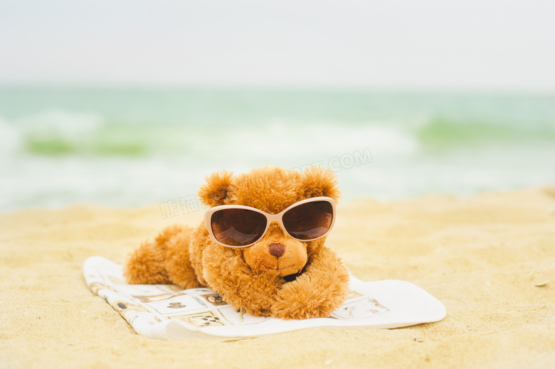 趴在沙滩上的可爱小熊摄影高清图片