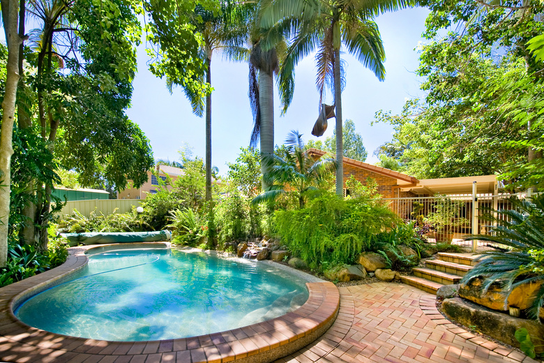热带树木与温泉池风景摄影高清图片