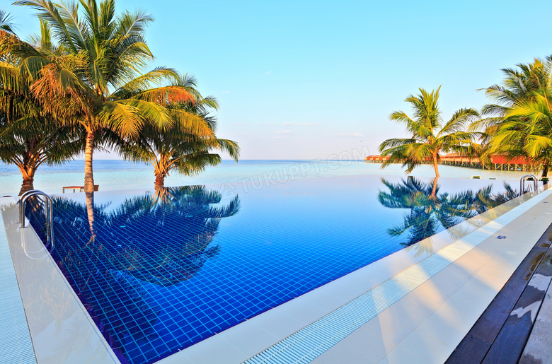 椰树与清澈见底的泳池摄影高清图片