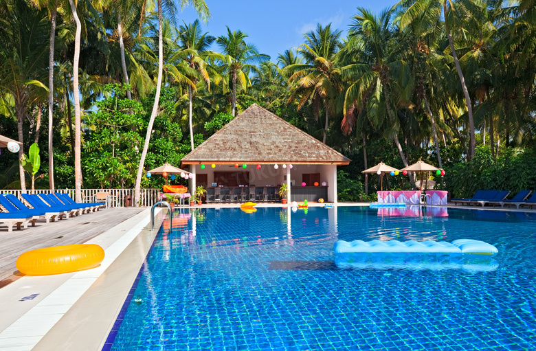 室外游泳池与茂密椰树摄影高清图片