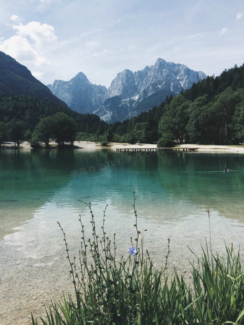 大山树林与清澈的湖水摄影高清图片