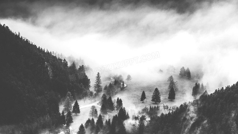 云雾与在山坡上的树木摄影高清图片
