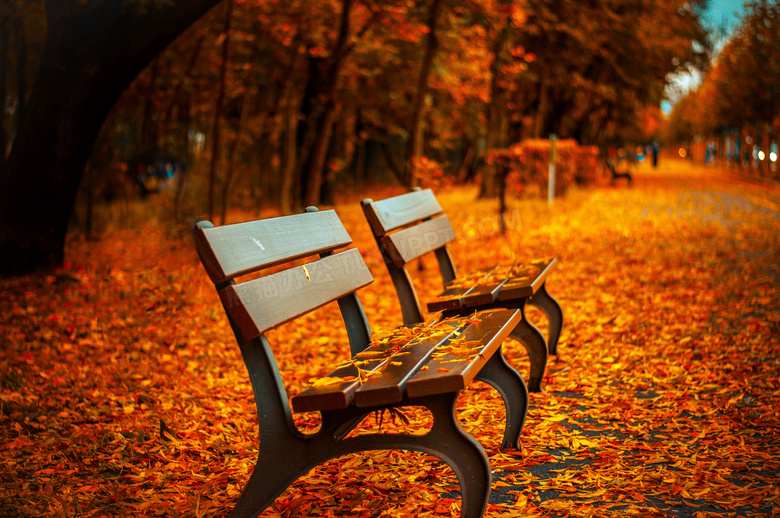 秋天公园长椅与满地的树叶高清图片