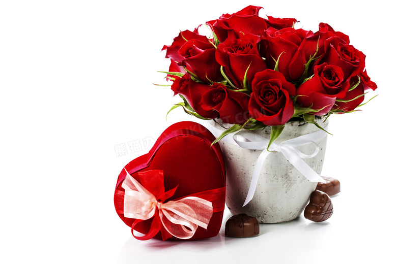 花盆里的红色玫瑰花朵摄影高清图片