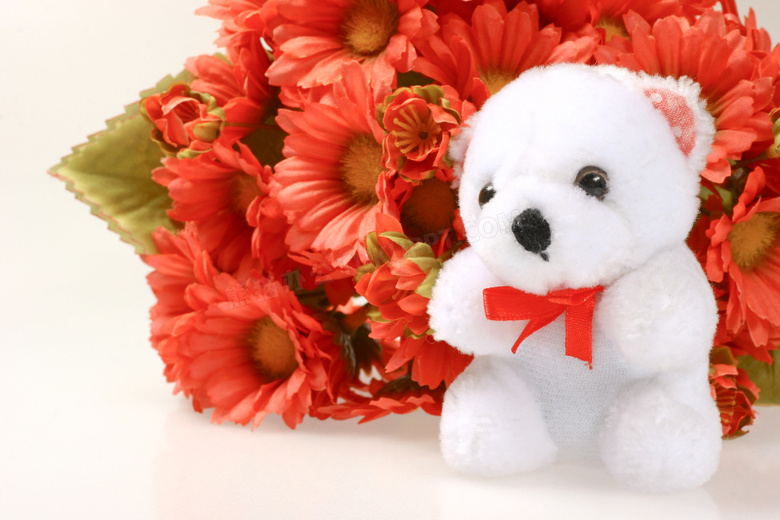 鲜花与可爱白色玩具熊摄影高清图片