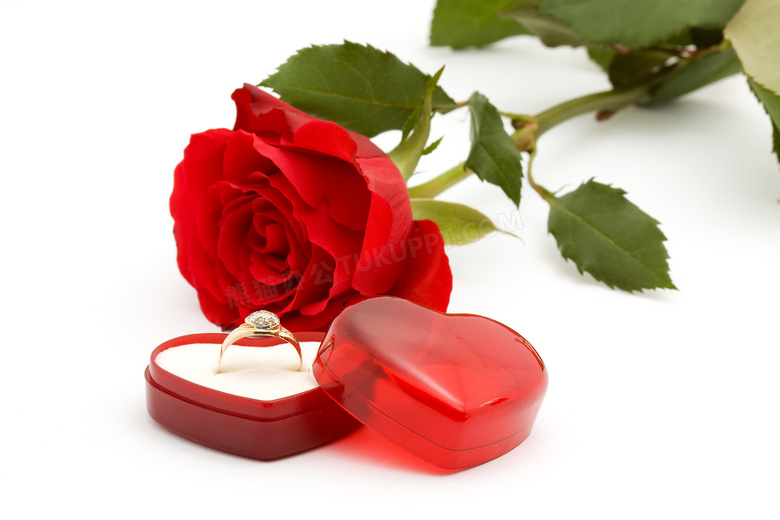 红色玫瑰花与结婚戒指摄影高清图片