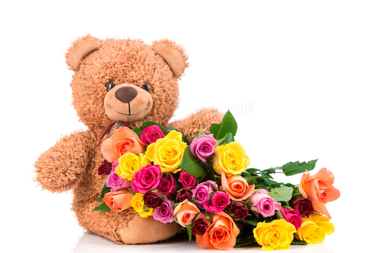 泰迪熊玩具与玫瑰花朵摄影高清图片