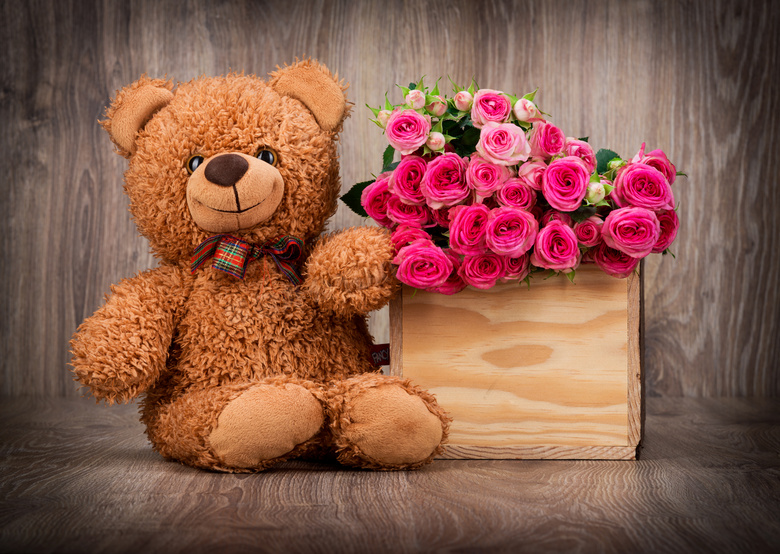 泰迪熊玩具与鲜艳花朵摄影高清图片