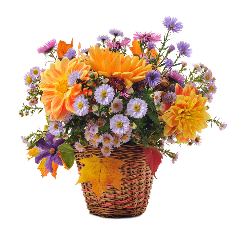 篮子里的鲜艳花朵特写摄影高清图片