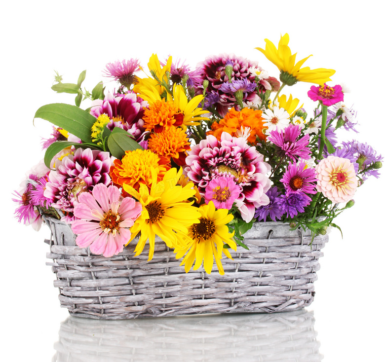 篮子里的色彩鲜艳的花摄影高清图片