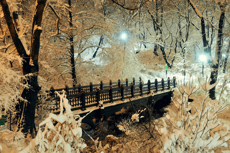 枝头挂满积雪的树夜景摄影高清图片