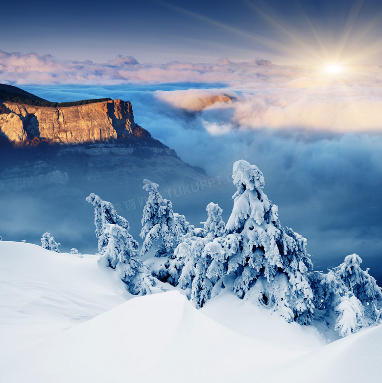 唯美的冬季雪景摄影图片