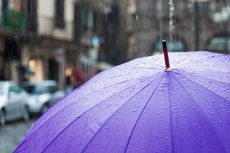朦胧细雨下的紫色雨伞摄影高清图片