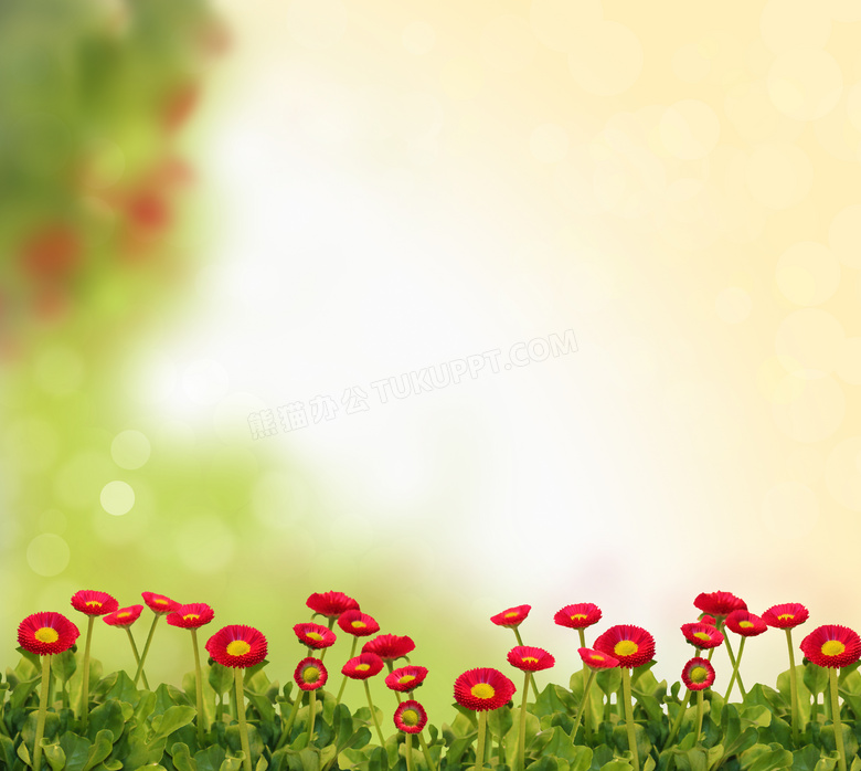 红花绿叶植物微距特写摄影高清图片