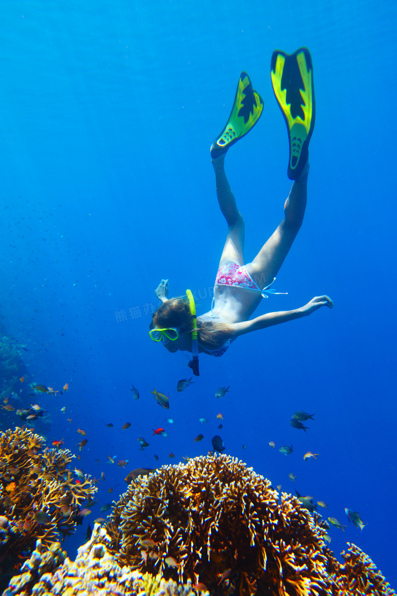 海里潜水的比基尼美女摄影高清图片