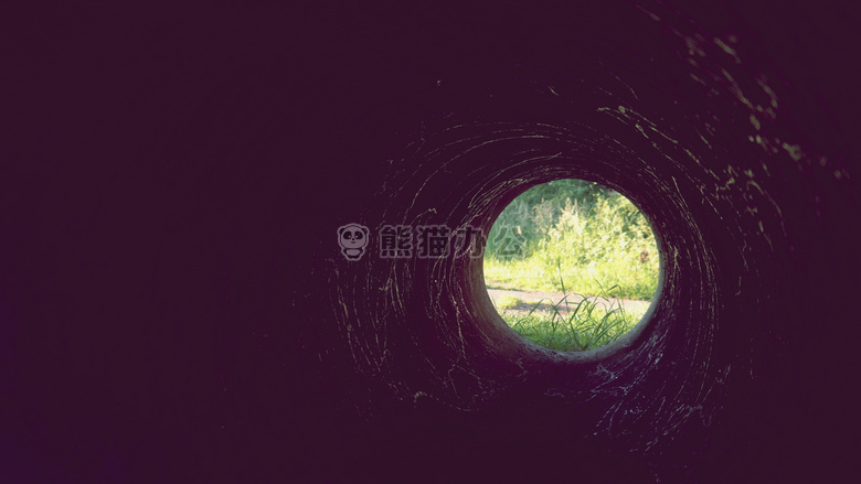 球型 黑暗的 草