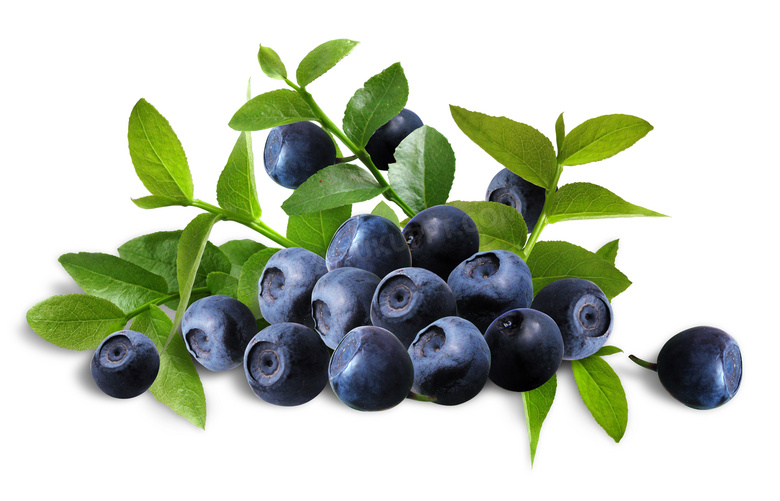 带绿叶的新鲜蓝莓特写摄影高清图片