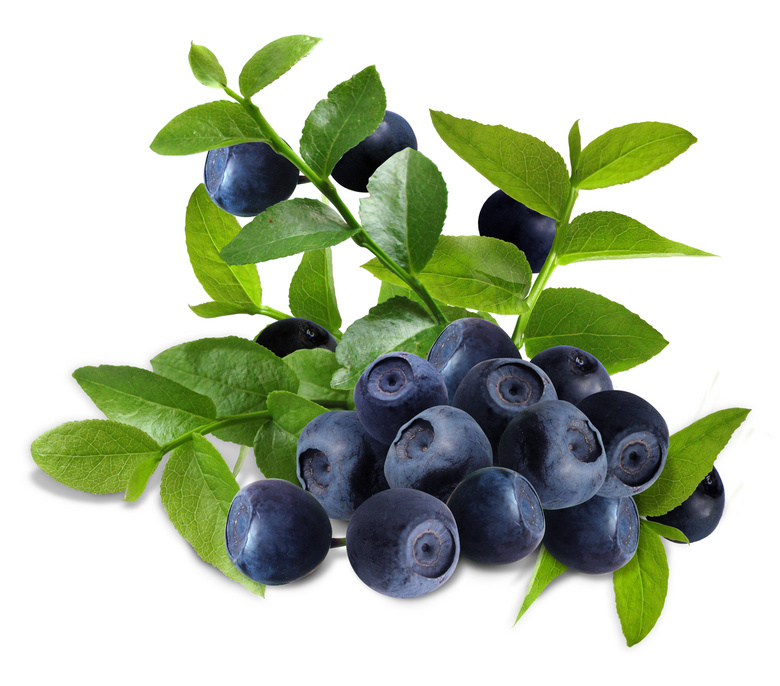 新鲜蓝莓果实近景特写摄影高清图片