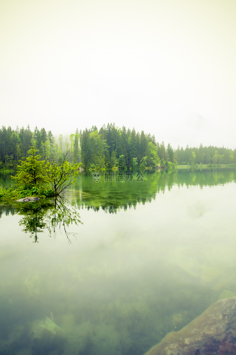 雾 森林 湖