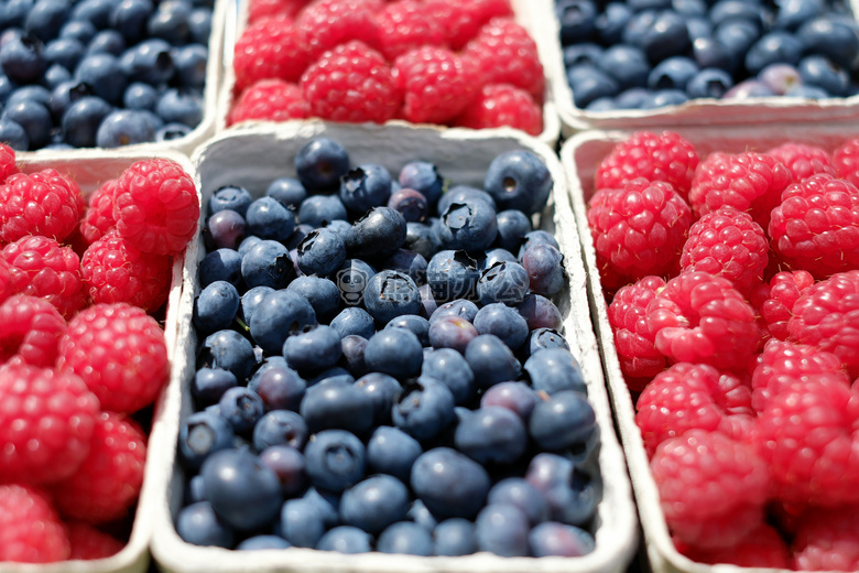 浆果 蓝莓 食物