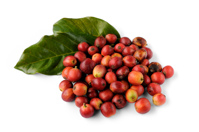 红色的生咖啡豆与绿叶特写摄影图片