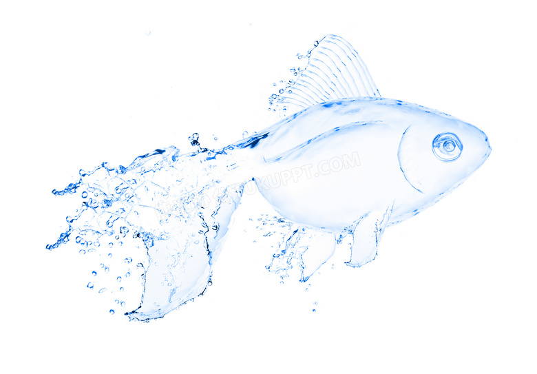 液态水组成的游鱼图案创意高清图片