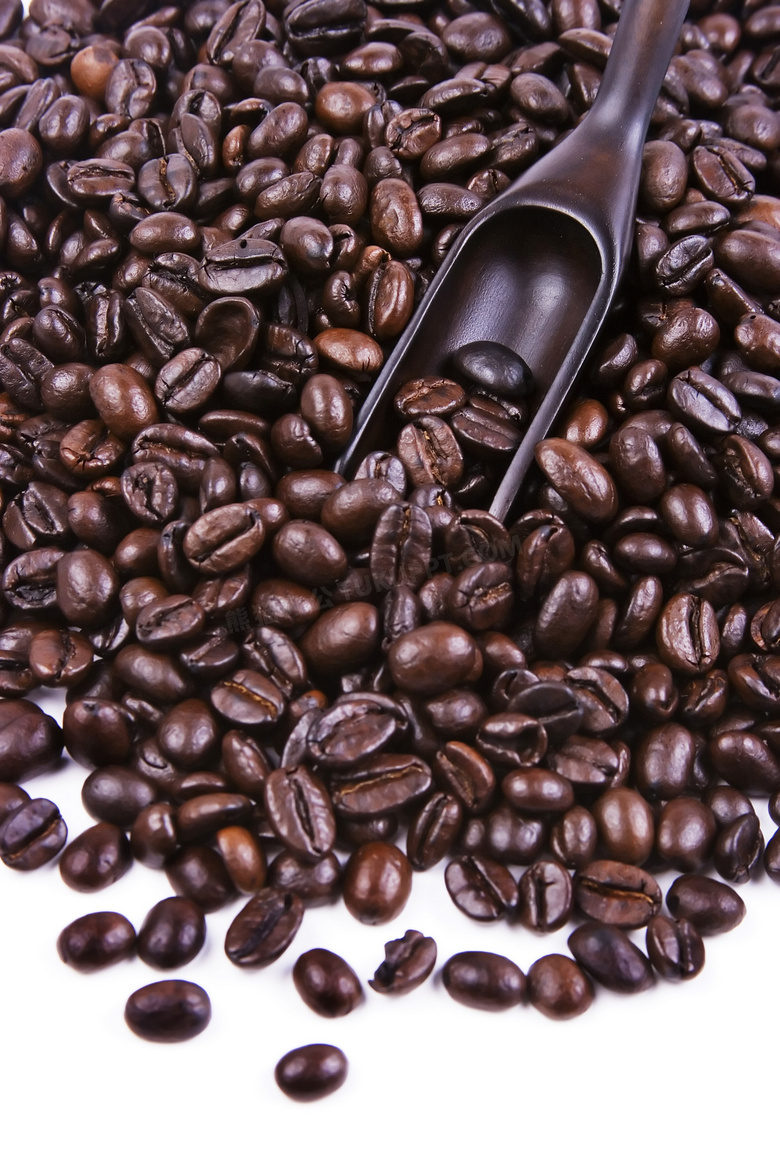 铲子铲起的咖啡豆高清摄影图片