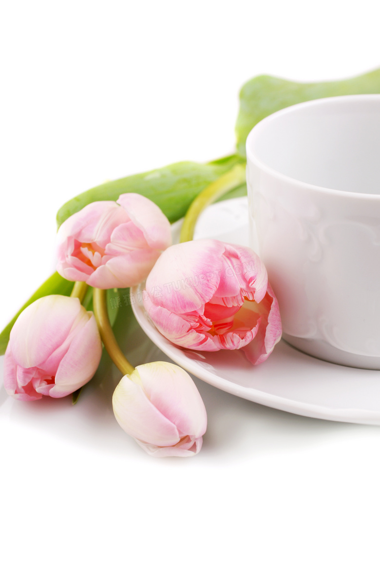 白色杯子旁的郁金香花朵高清摄影图片