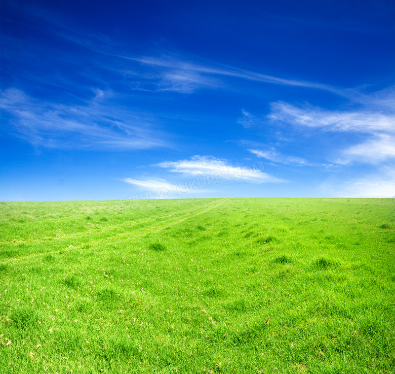 绿色草地天空摄影图片