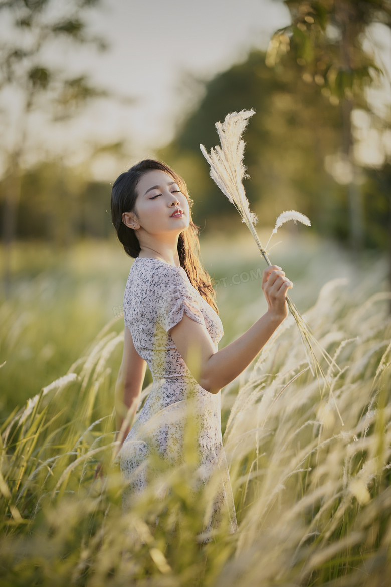 户外芦苇荡美女写真图片