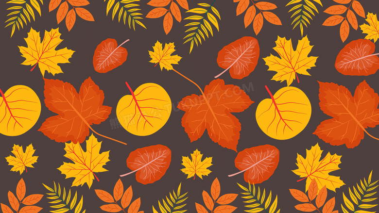 秋天黄树叶背景图片