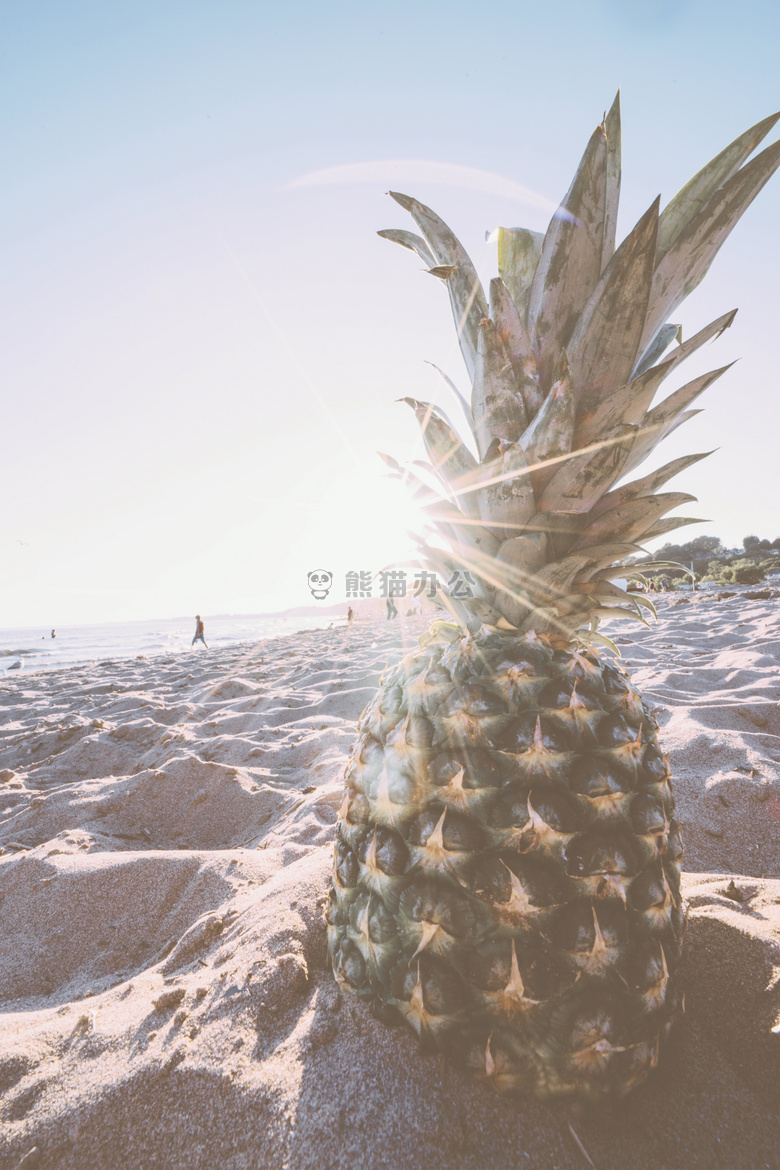 海滩 水果 菠萝