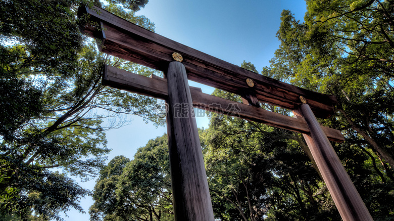 在户外 寺庙 树